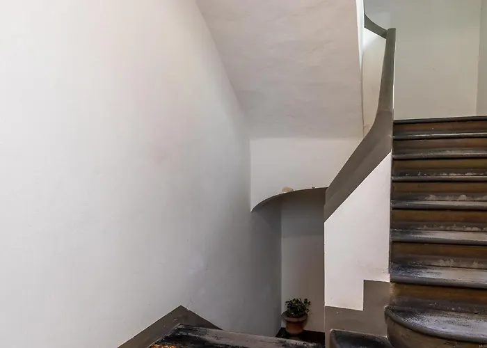 Housmart Cartoleria 8 *